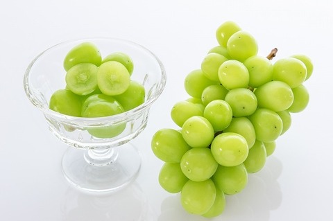 AdobeStock_296028458.jpg