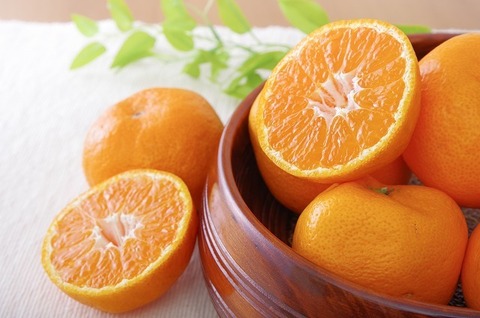 AdobeStock_559144498.jpg