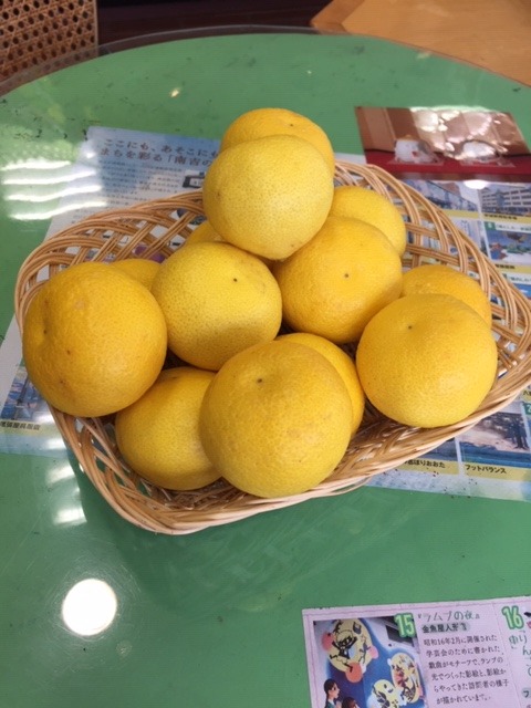 image1.jpeg